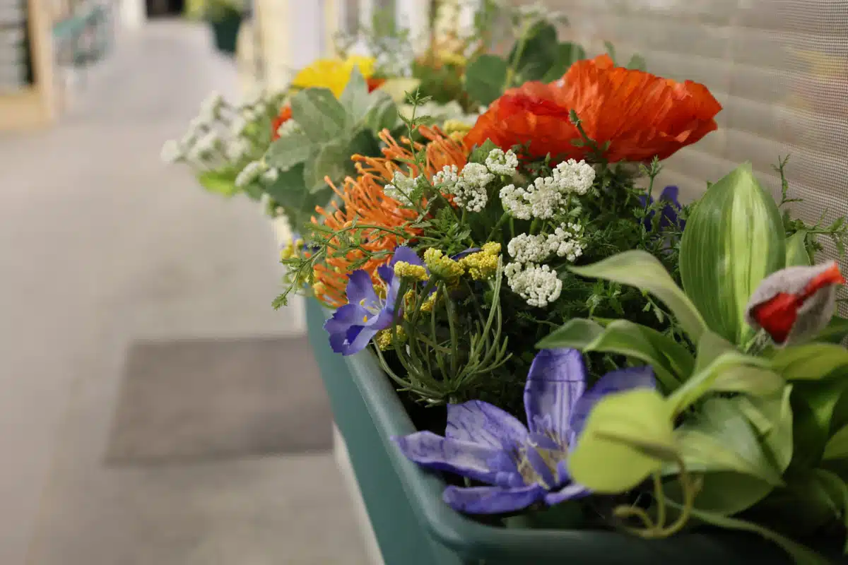 Restore House - Thumbnail 3