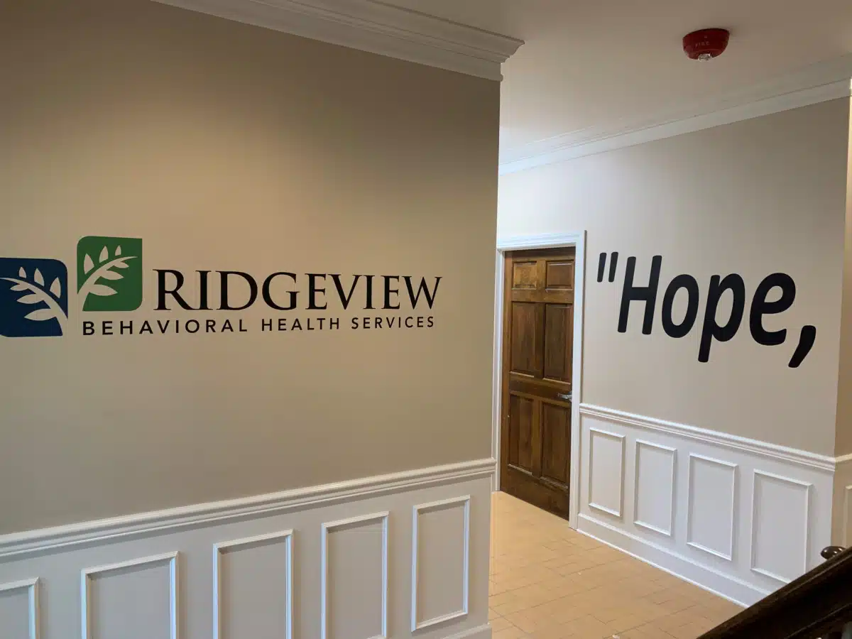 Ridgeview - Thumbnail 4