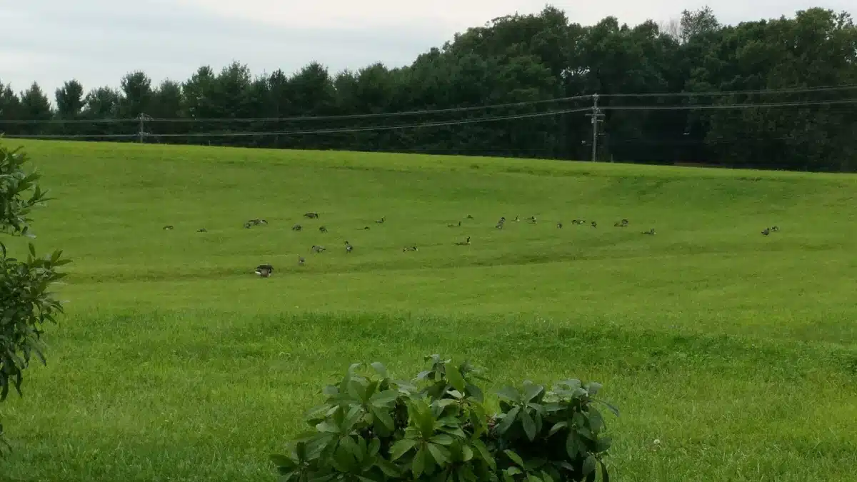 Rockingham Memorial Hospital - Thumbnail 5