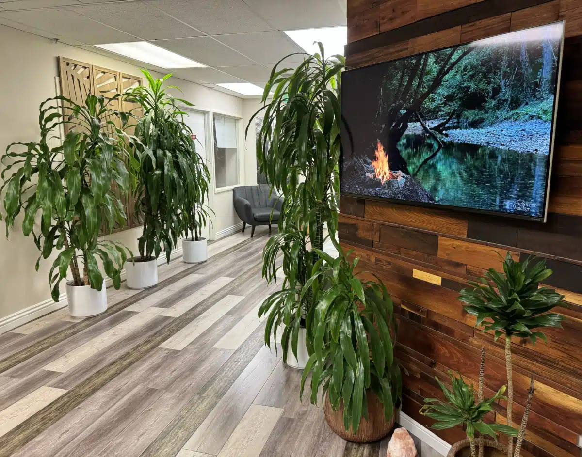 Roots Through Recovery - Thumbnail 4