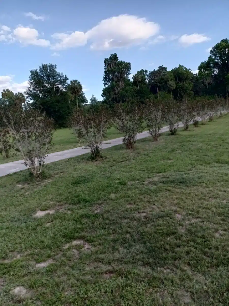 SMA Crisis - Thumbnail 4