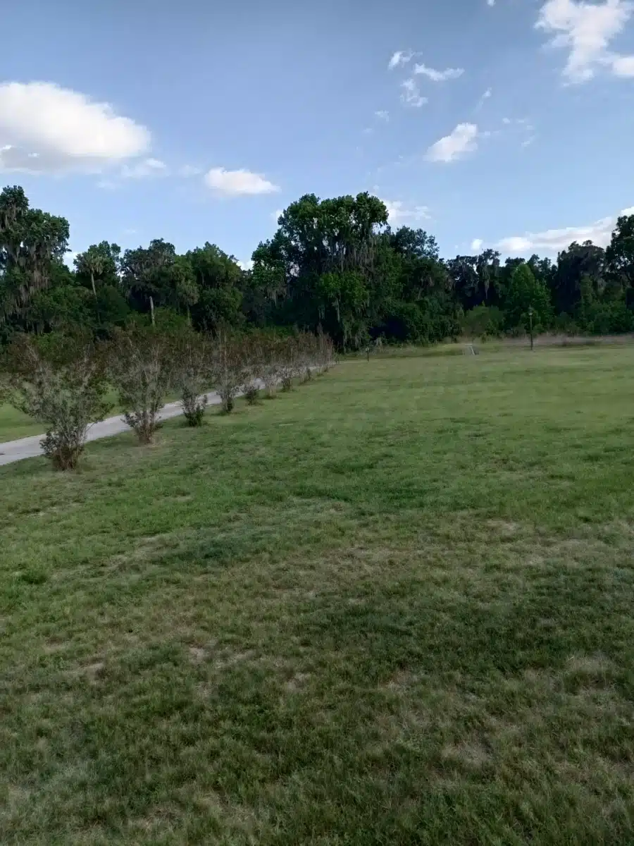 SMA Crisis - Thumbnail 7