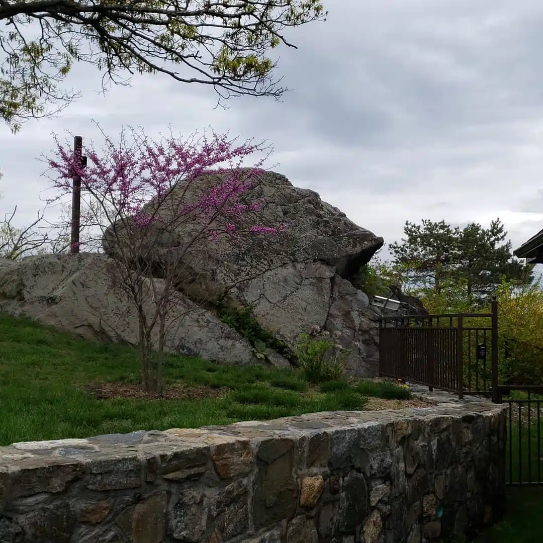 Saint Christophers Inn - Thumbnail 2