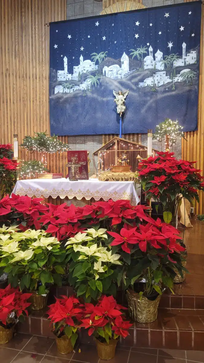 Saint Genevieve - Thumbnail 5