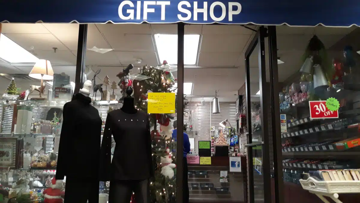 Saint Vincent Kokomo - Thumbnail 9