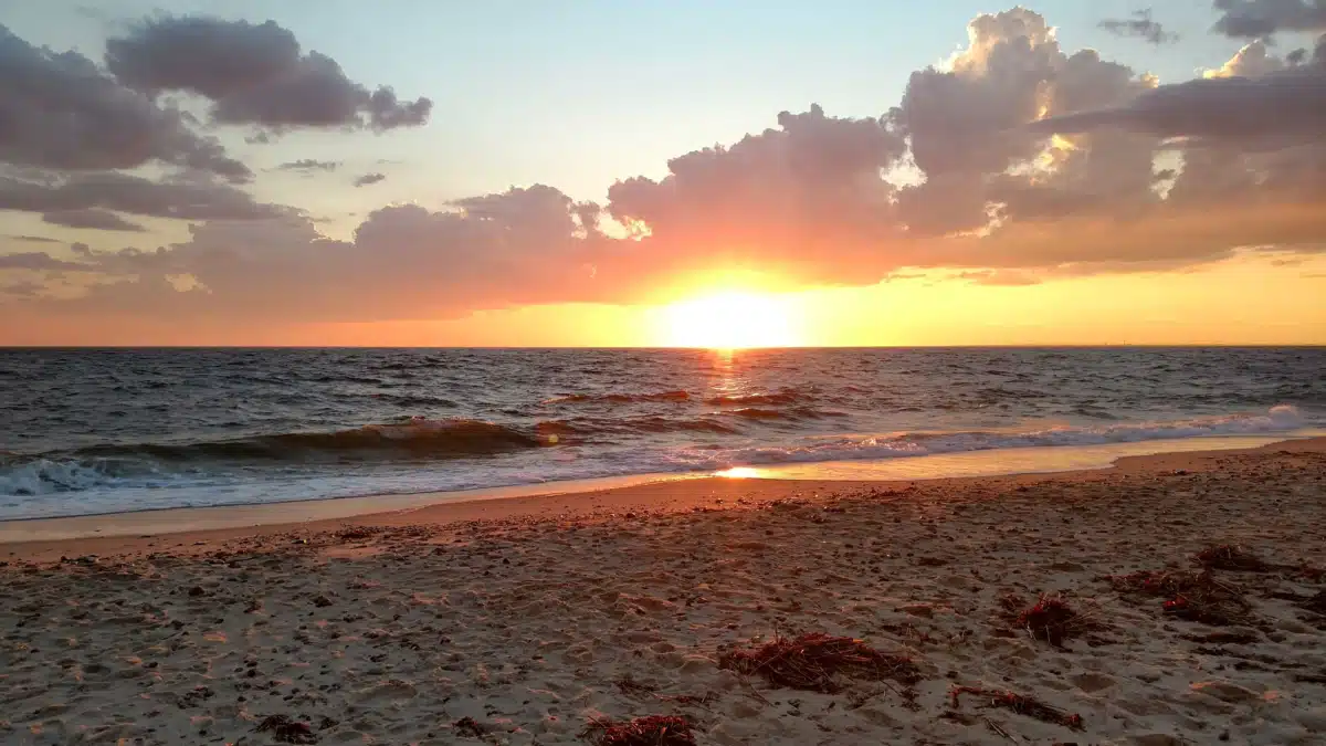 Seabrook Cherry Hill - Thumbnail 2