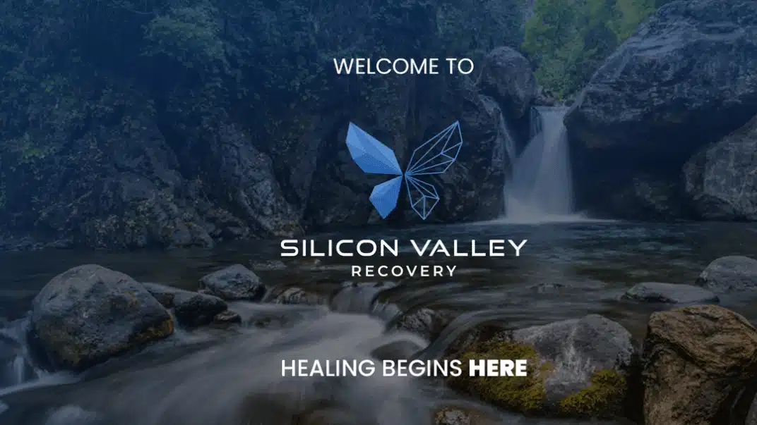 Silicon Valley Recovery