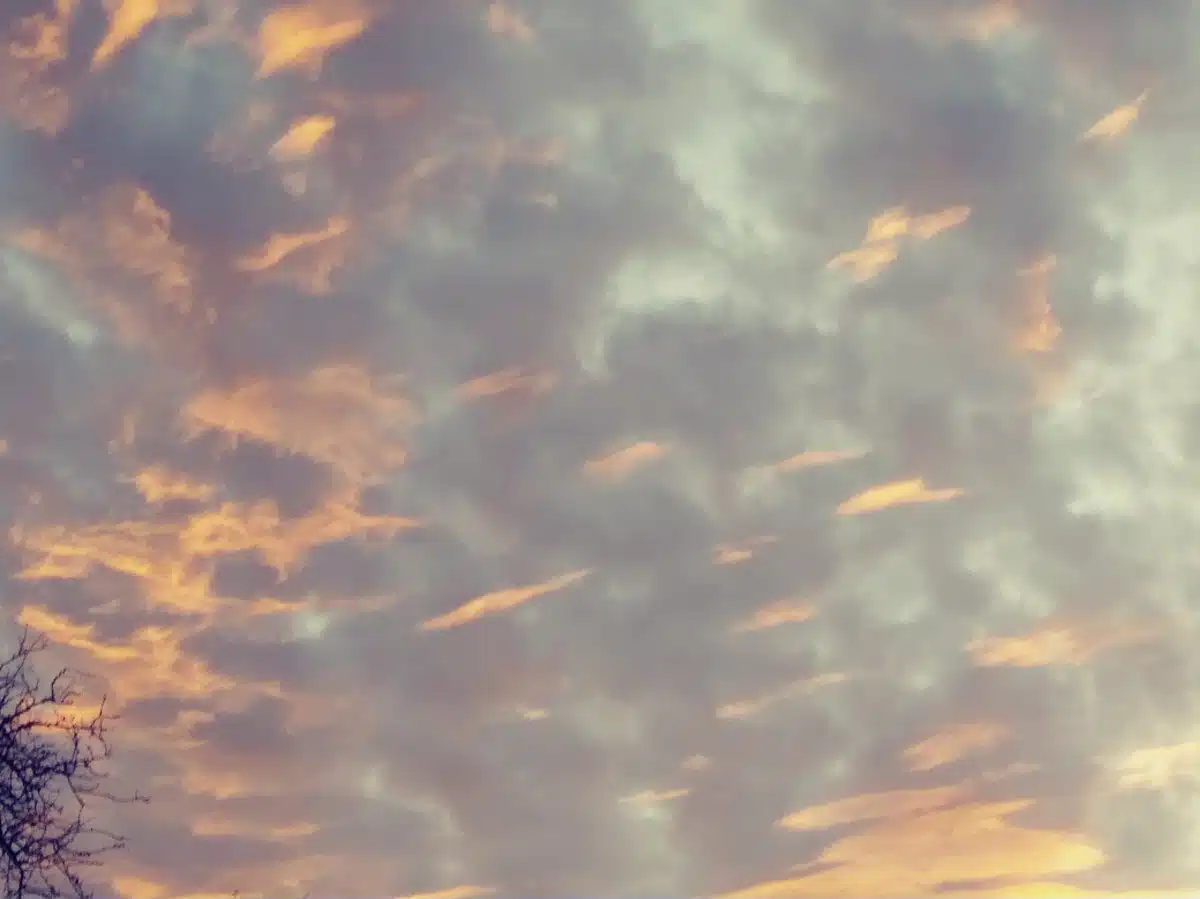 Skyway House Residential - Thumbnail 8