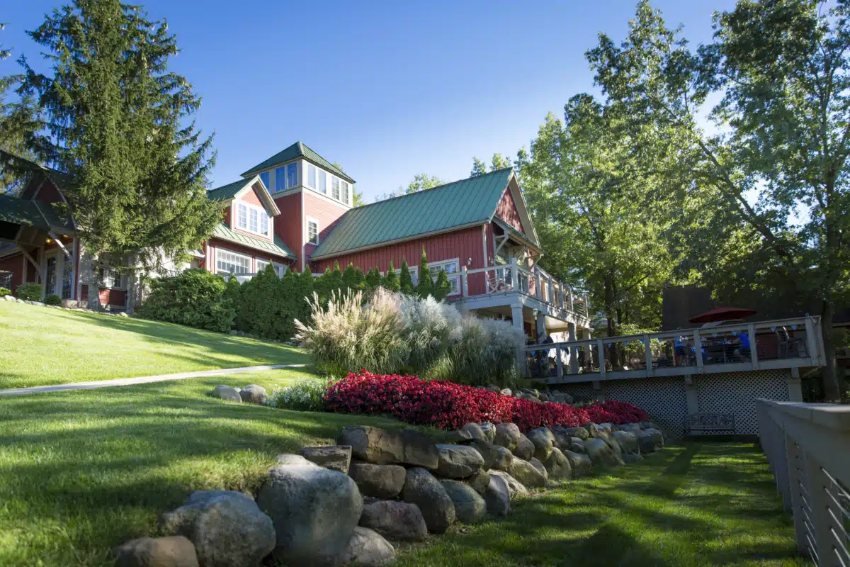 Skywood Recovery - Thumbnail 2