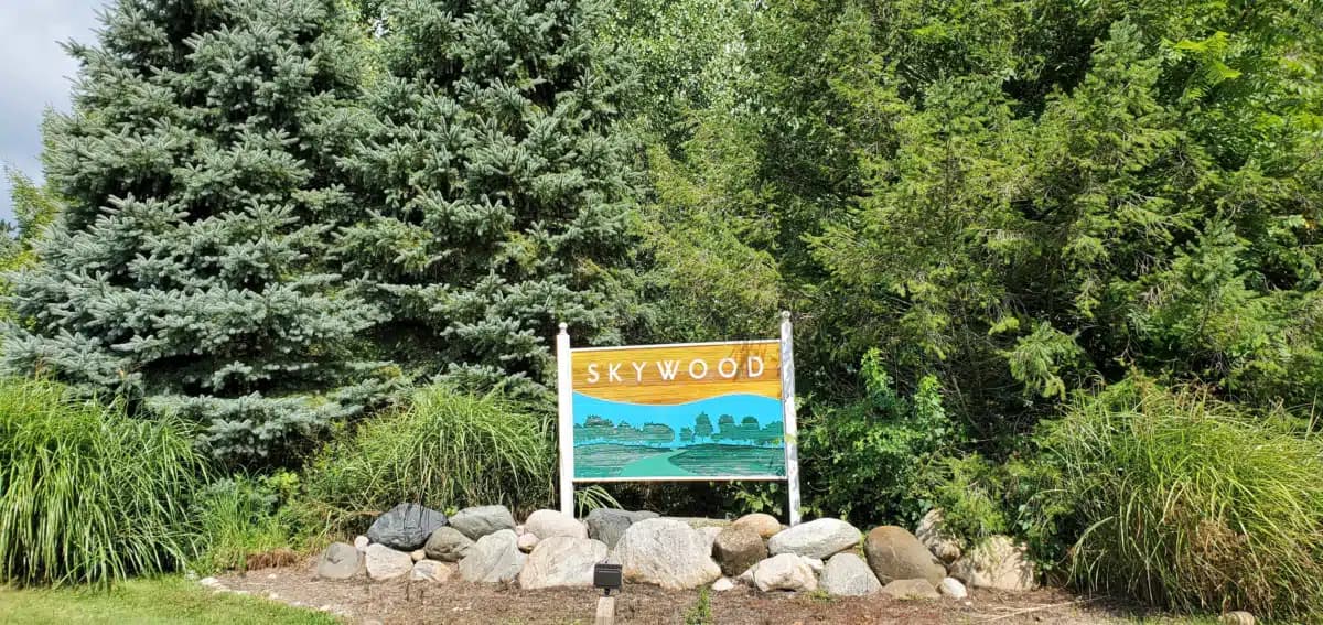 Skywood Recovery - Thumbnail 9