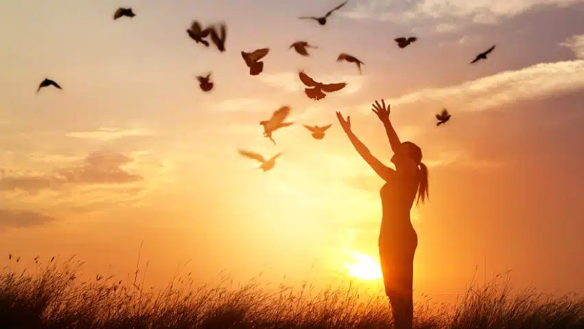 Somerset Treatment Services