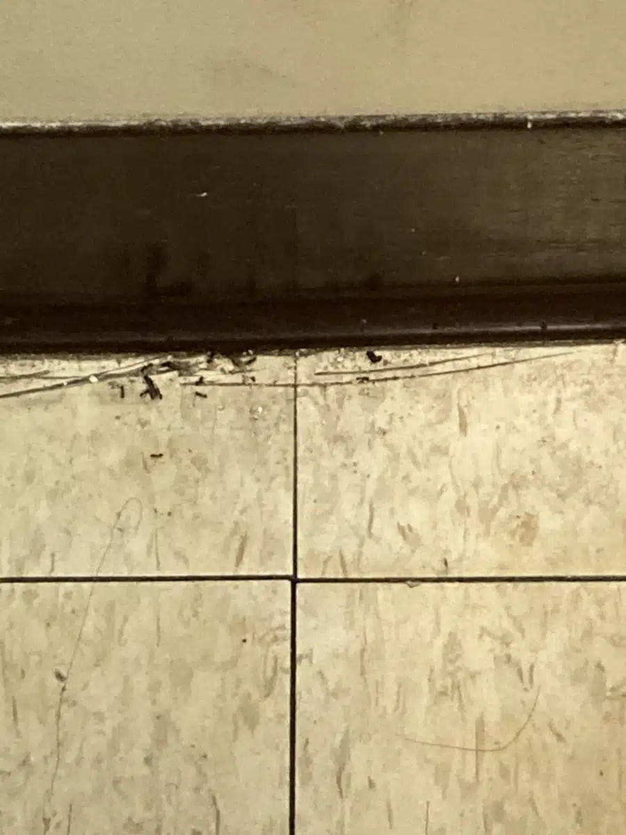 South Shore Hospital - Thumbnail 9