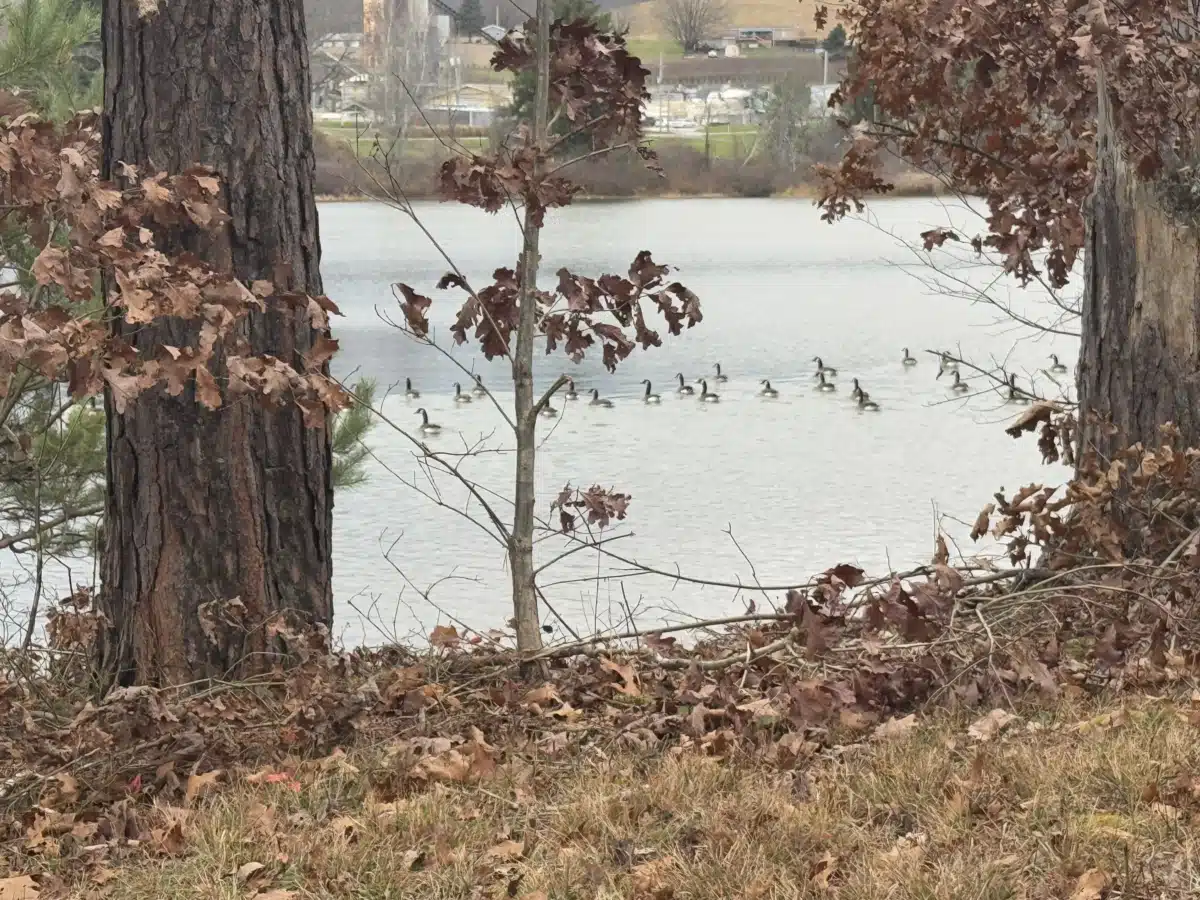 SpiritLife Inc - Thumbnail 7