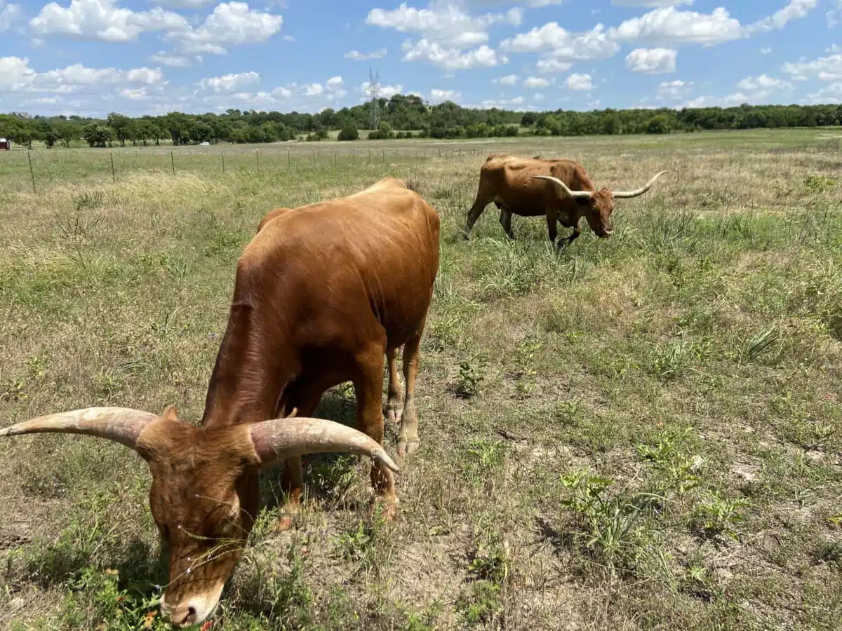 Stonegate Center - Thumbnail 6