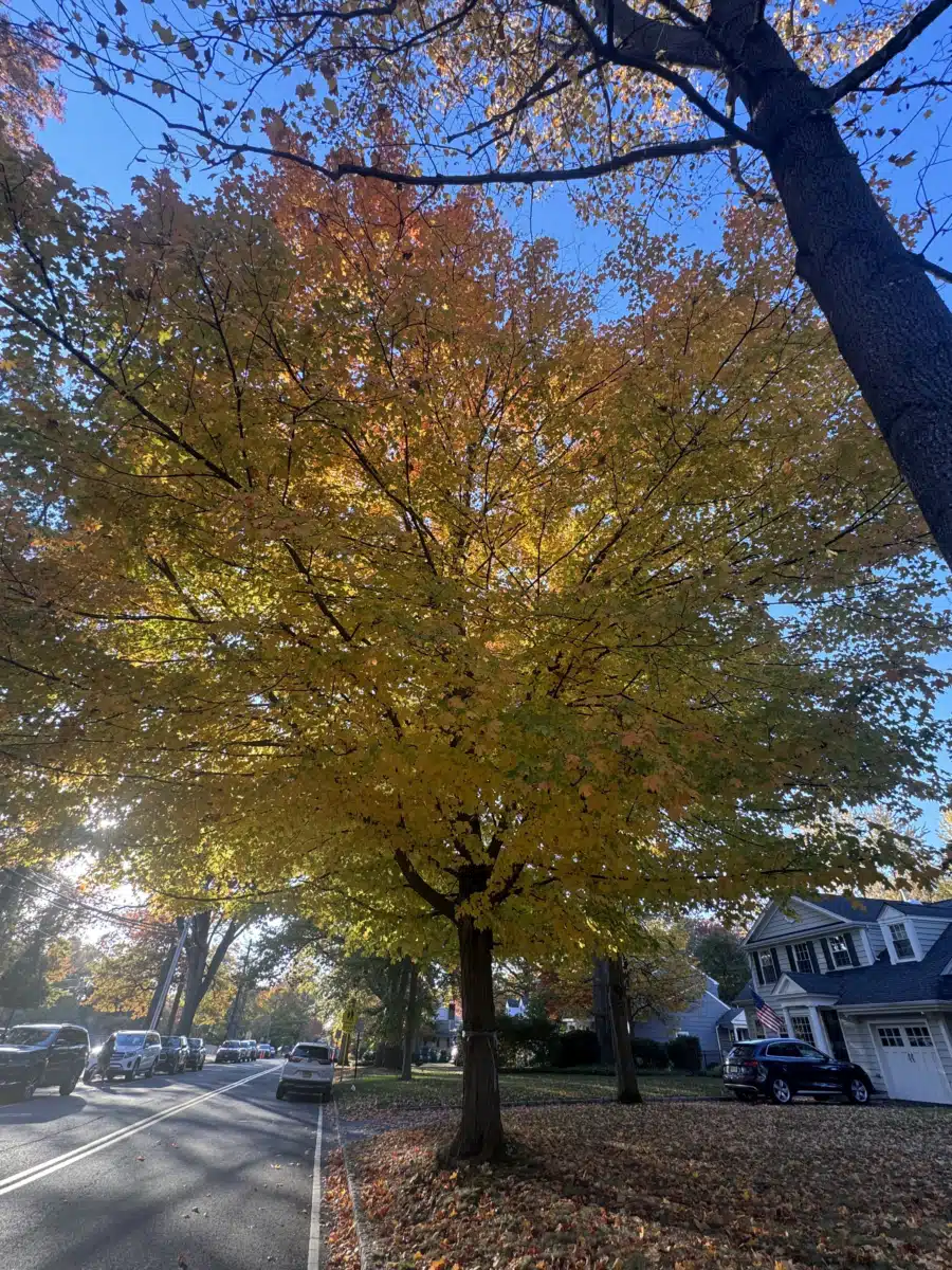 Summit Oaks Hospital - Thumbnail 8