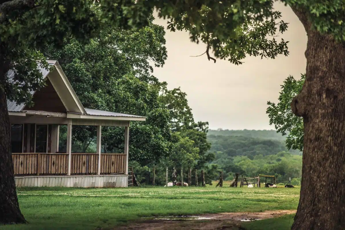 Sundown Ranch Inc - Thumbnail 3