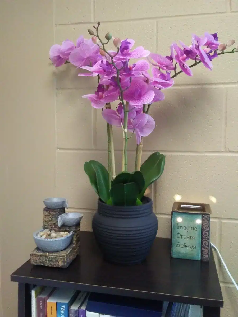 Sunflower Recovery Center - Thumbnail 7