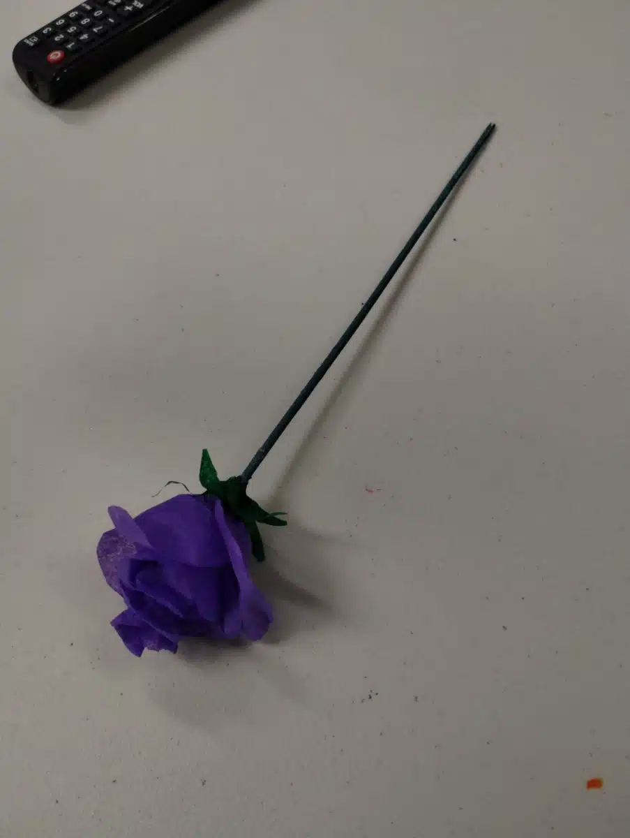 Sunrise Services Inc - Thumbnail 4