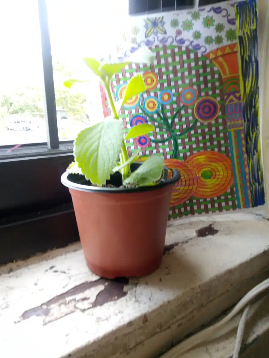 Surfpoint Recovery LLC - Thumbnail 5