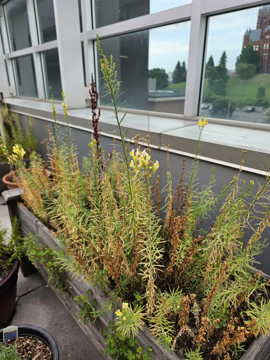 Syracuse VAMC - Thumbnail 5