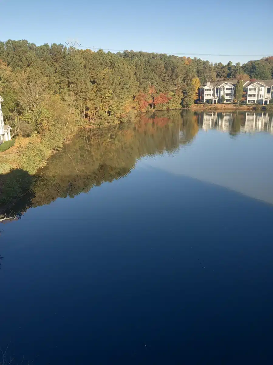 Tangu Recovery - Thumbnail 2