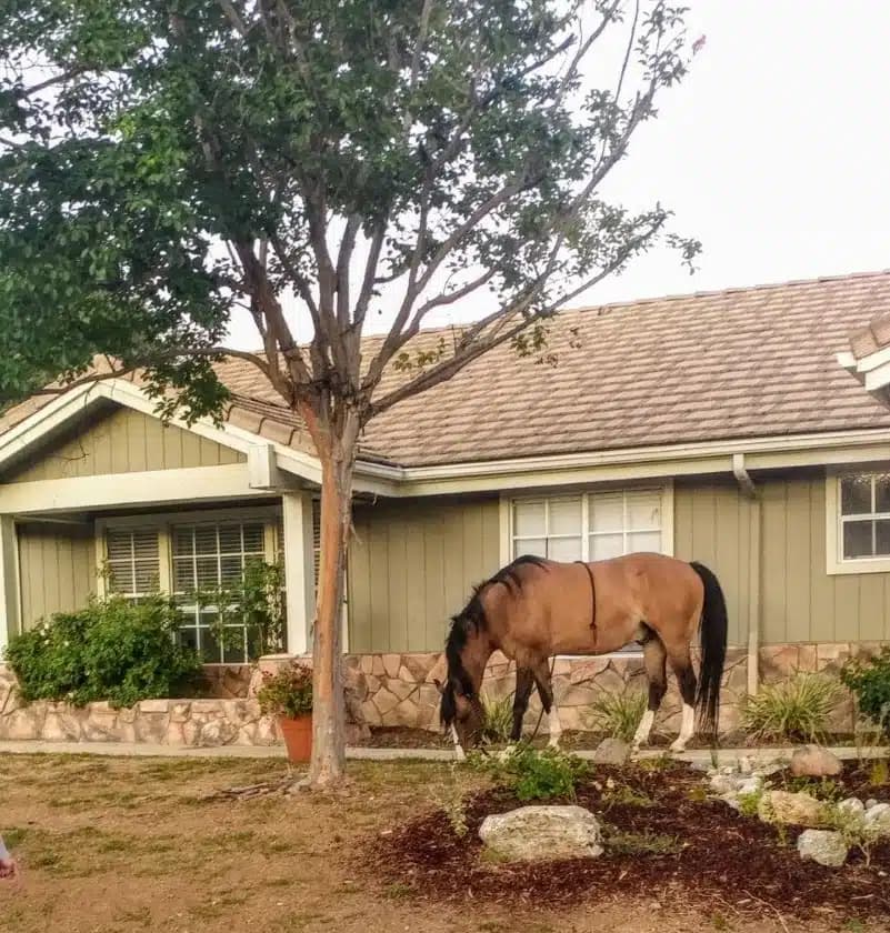 Teen Project Inc - Thumbnail 6