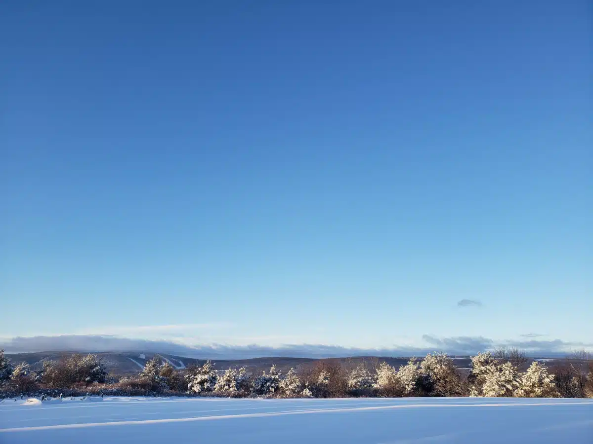 Tully Hill Corporation - Thumbnail 5