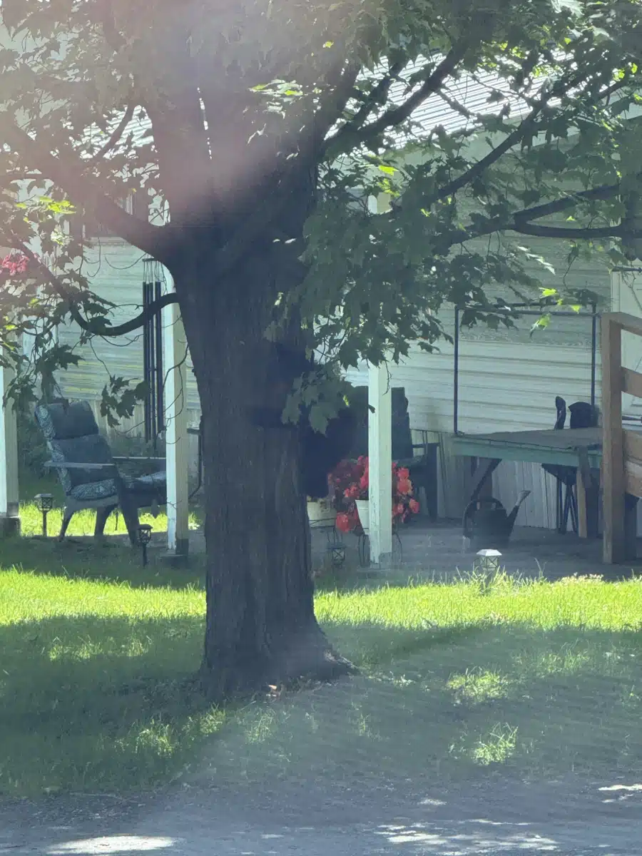 University of Vermont Medical Center