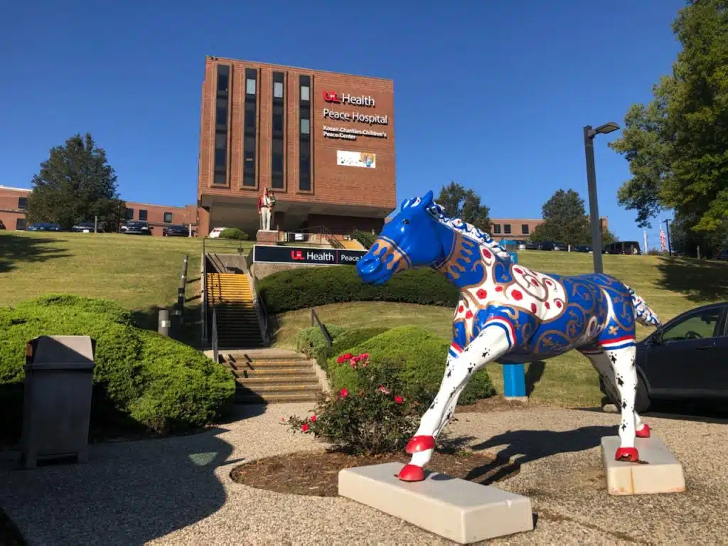 UofL Health - Thumbnail 2