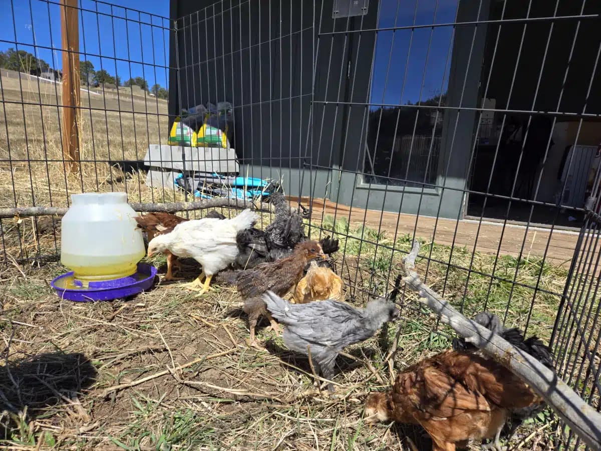 Whats Next Counseling - Thumbnail 3