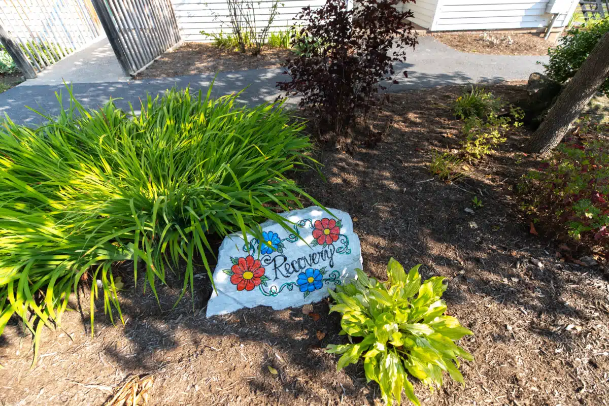 White Deer Run - Thumbnail 8