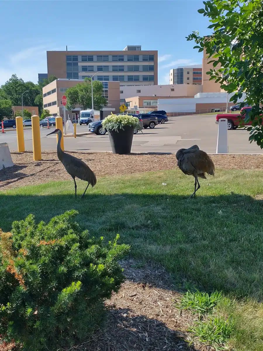 William S Middleton Veterans Hosp - Thumbnail 3