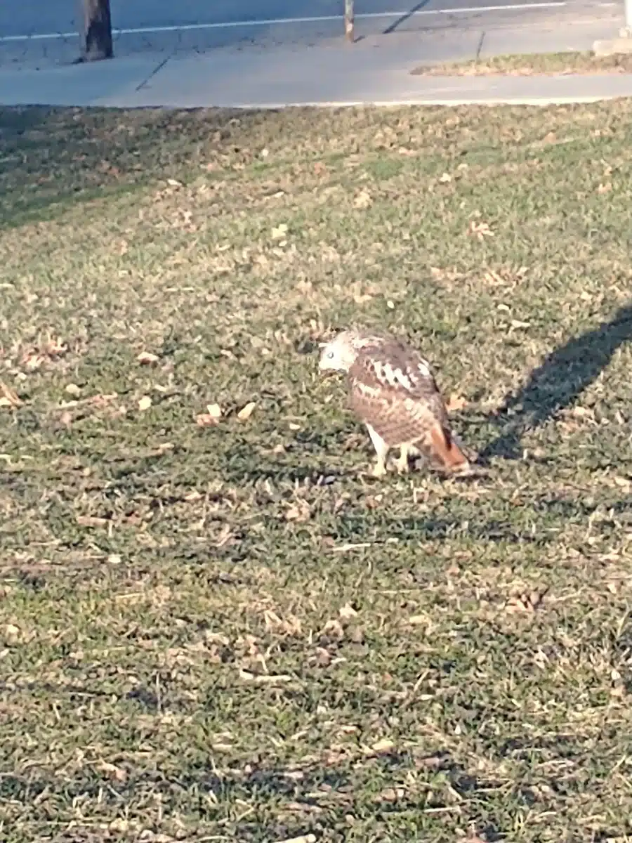 William S Middleton Veterans Hosp - Thumbnail 4