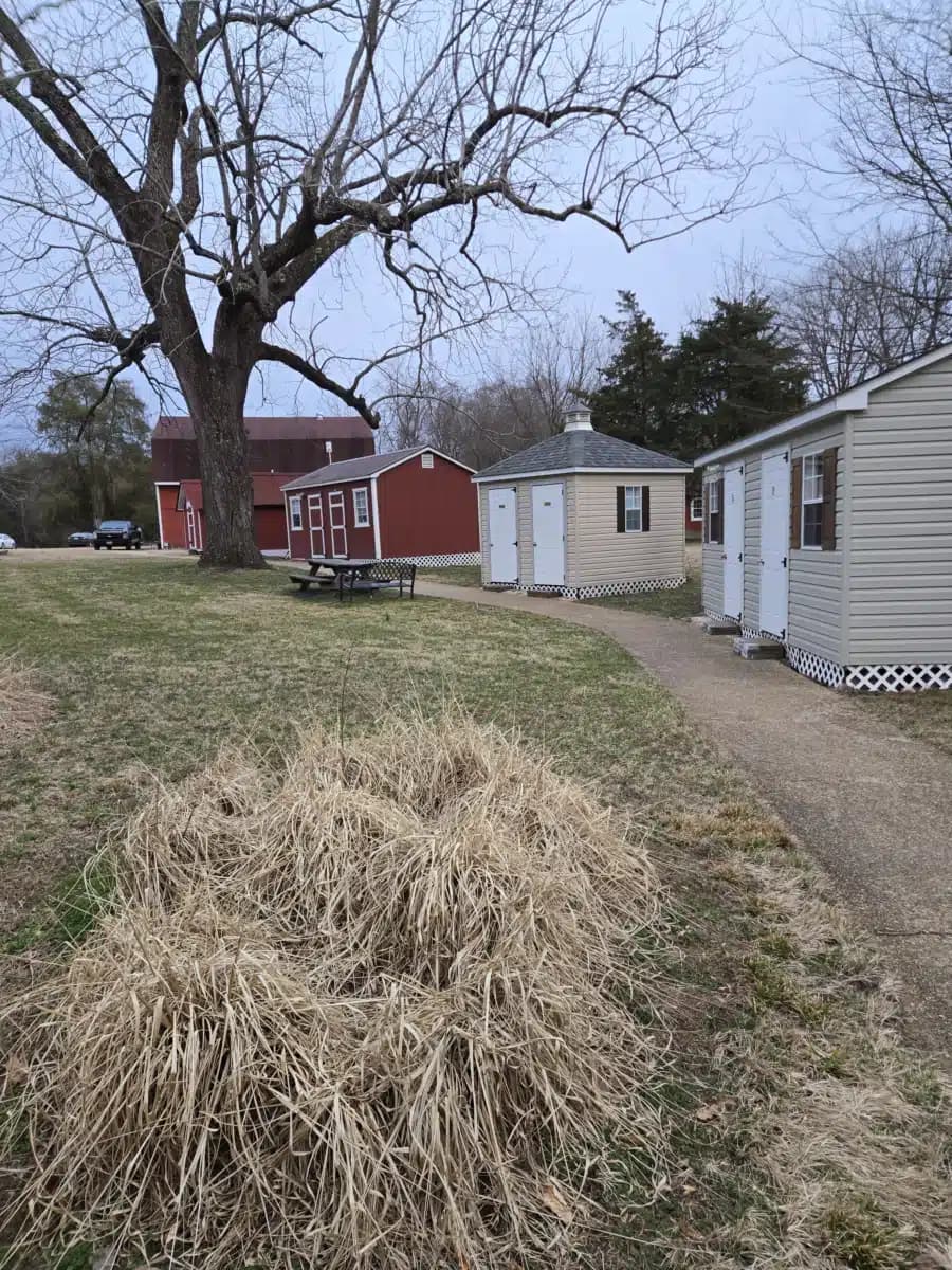 Williamsville Wellness Center - Thumbnail 4