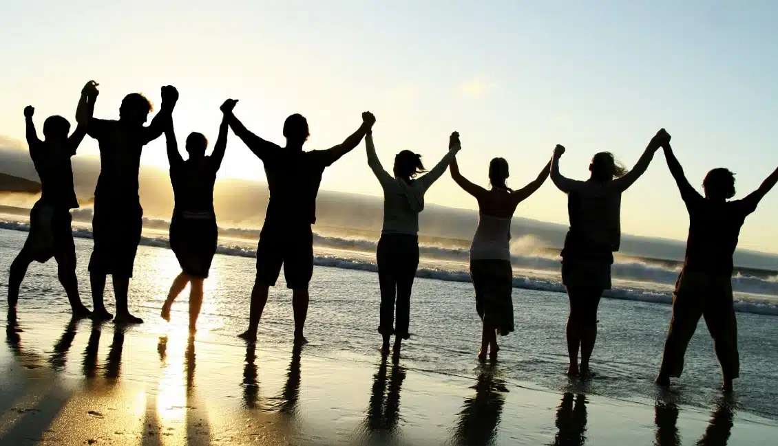 Willow Tree Recovery