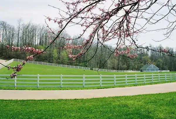 Wooded Glen Recovery Center - Thumbnail 2