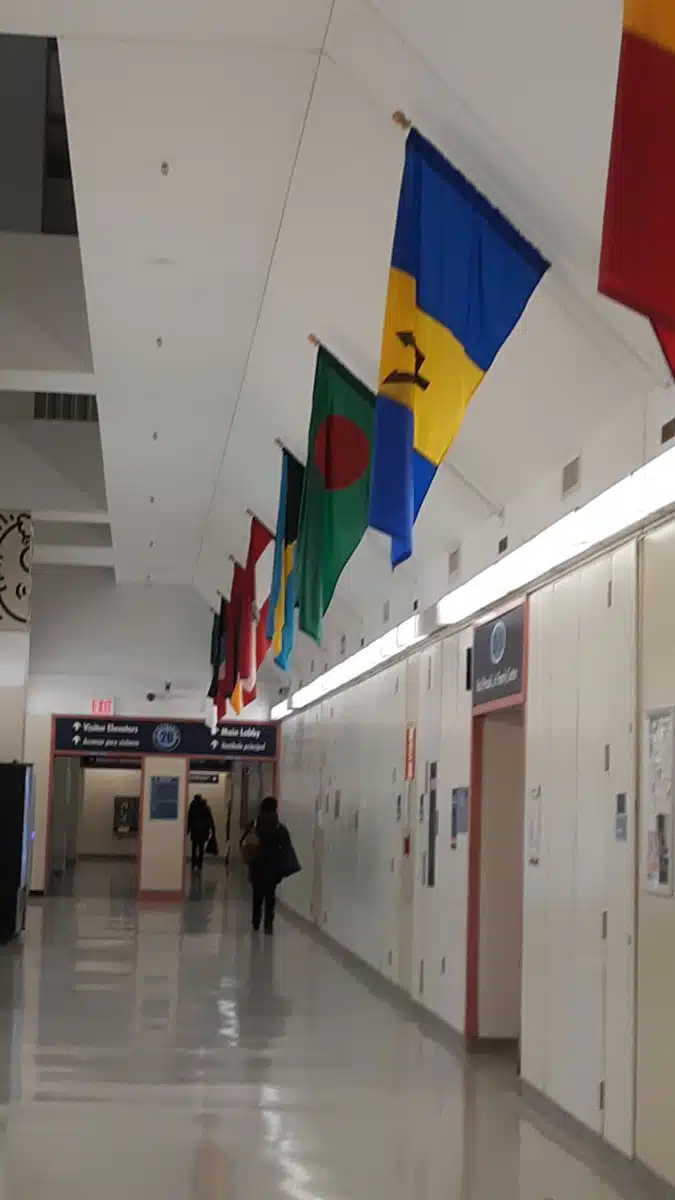 Woodhull Medical Center - Thumbnail 9