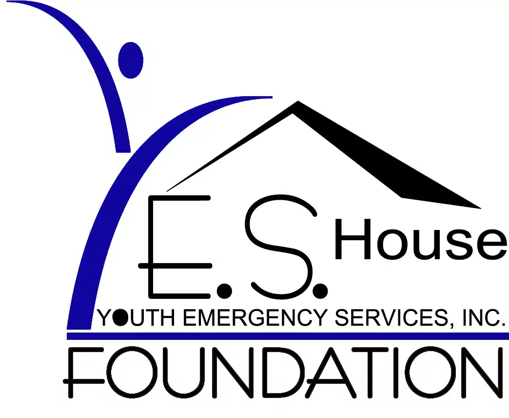 Youth Emergency Services Inc - Thumbnail 5