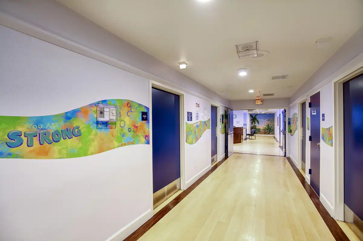 Zenith Behavioral Health - Preview