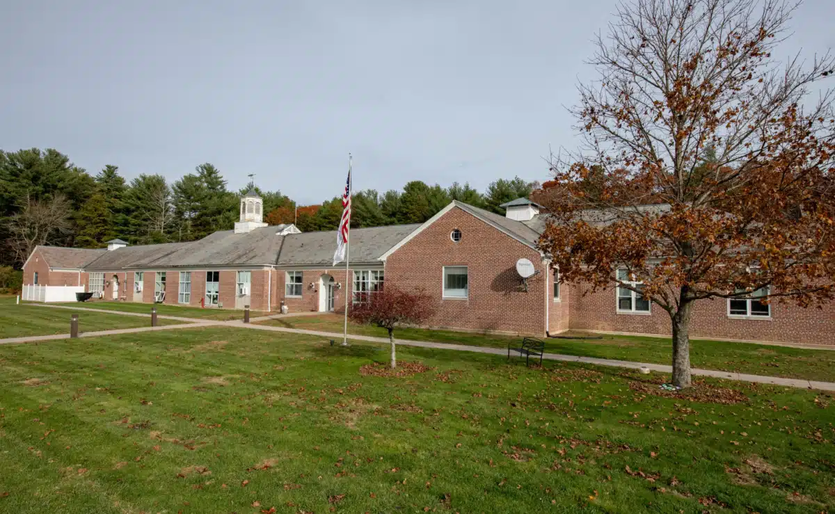 Zinnia Exeter - Thumbnail 2