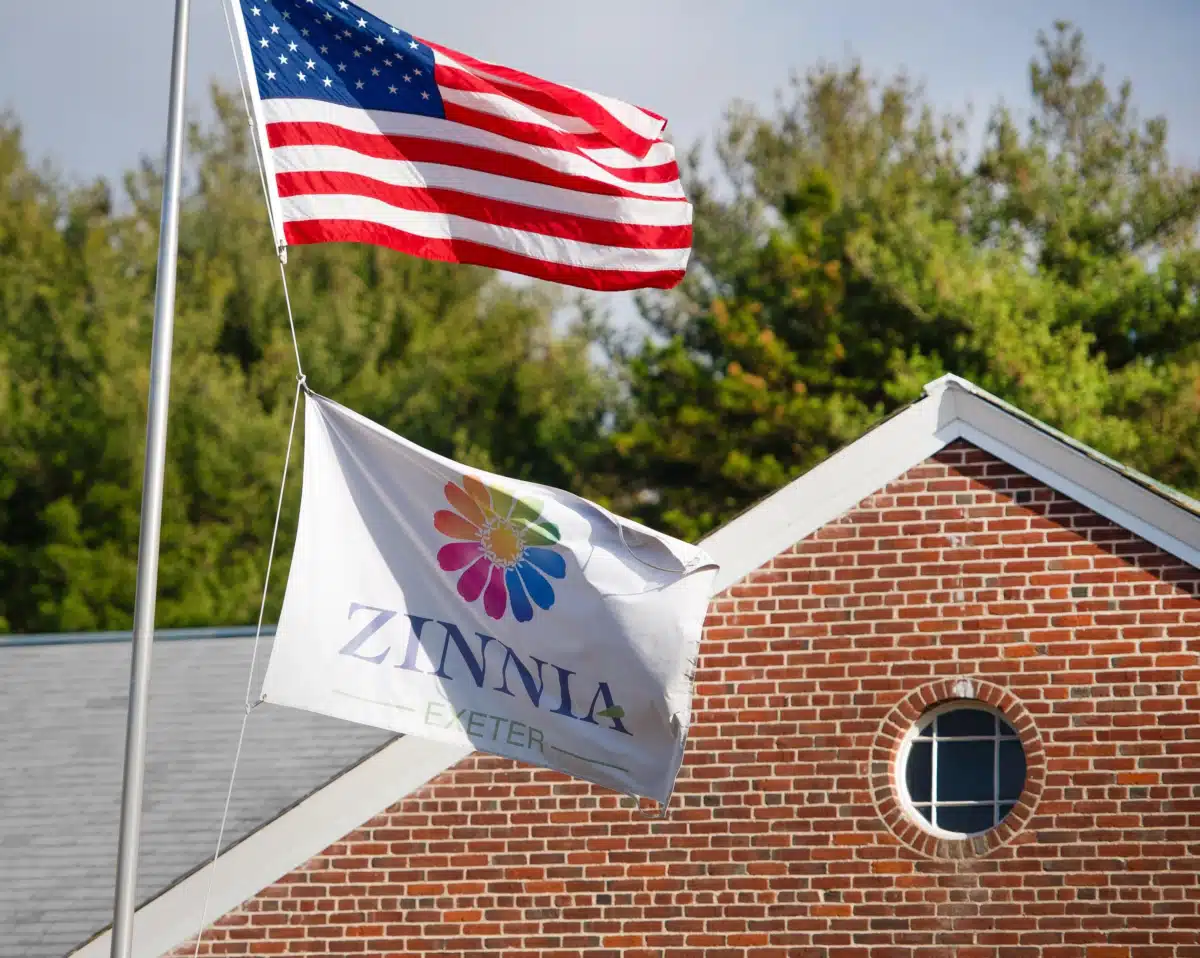 Zinnia Exeter - Thumbnail 8