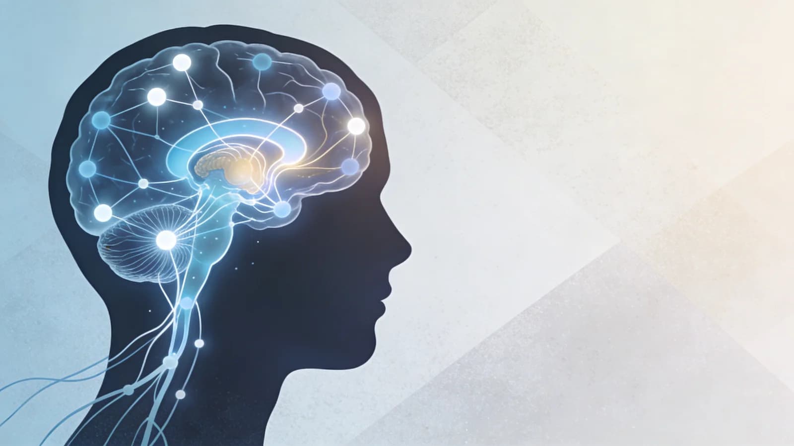Abstract visualization of brain neural pathways and reward circuits with interconnected glowing…
