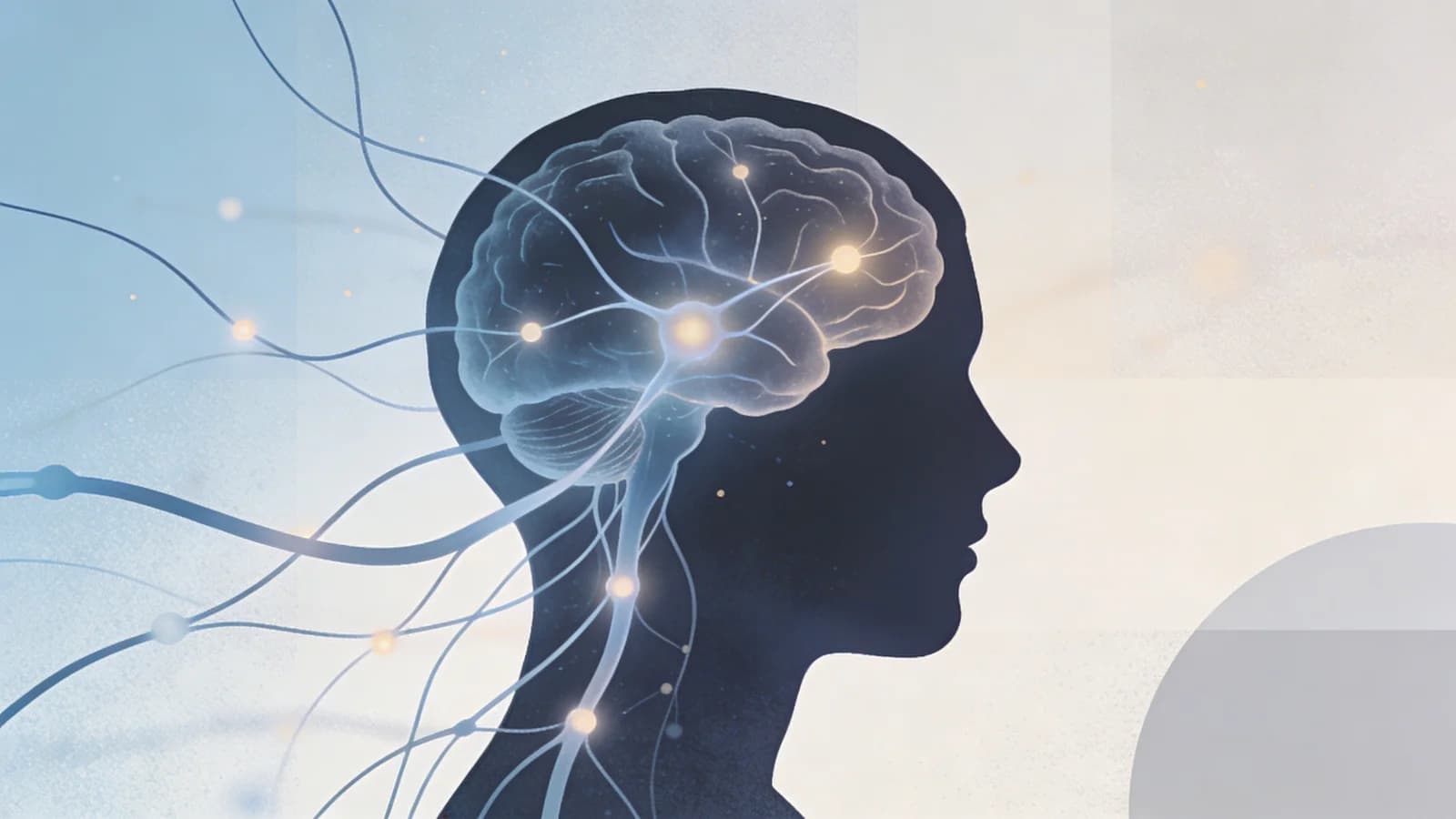 Abstract brain neural pathways illustration showing neuroplasticity changes