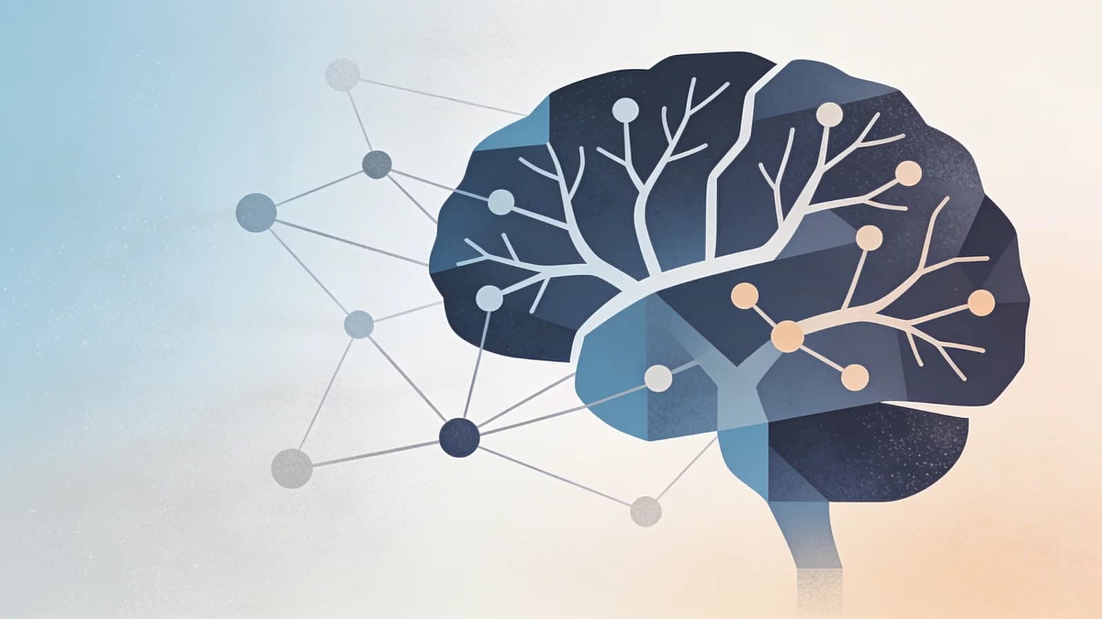 Abstract illustration of adolescent brain development with neural pathways and social connection…