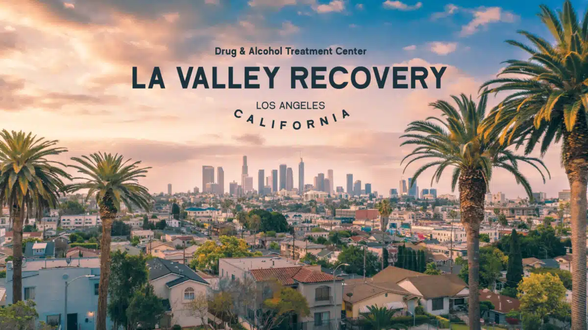 LA Valley Recovery
