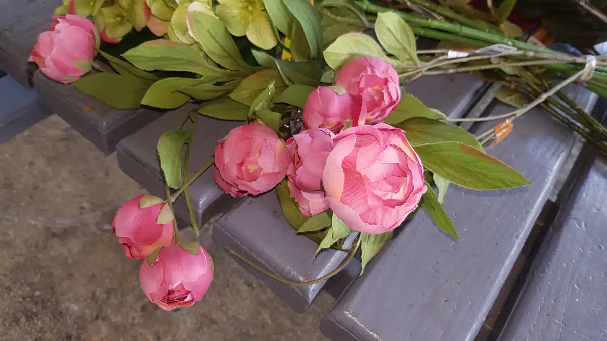 Sanctuary Incorporated of Guam - Preview