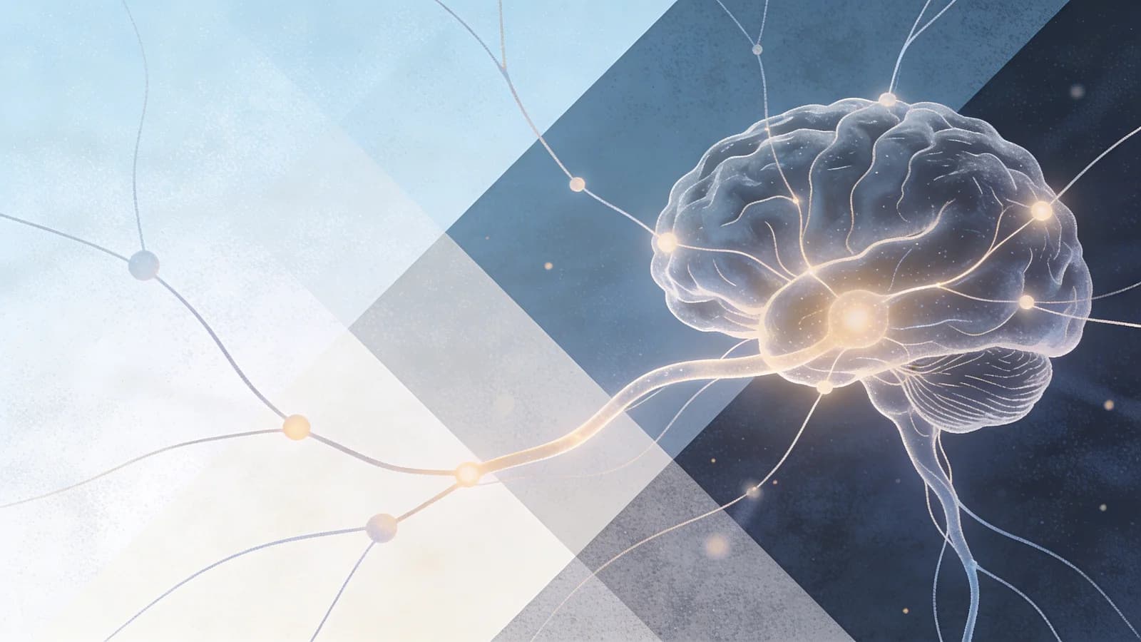 Abstract illustration of brain neural pathways with soft blue and white tones representing…