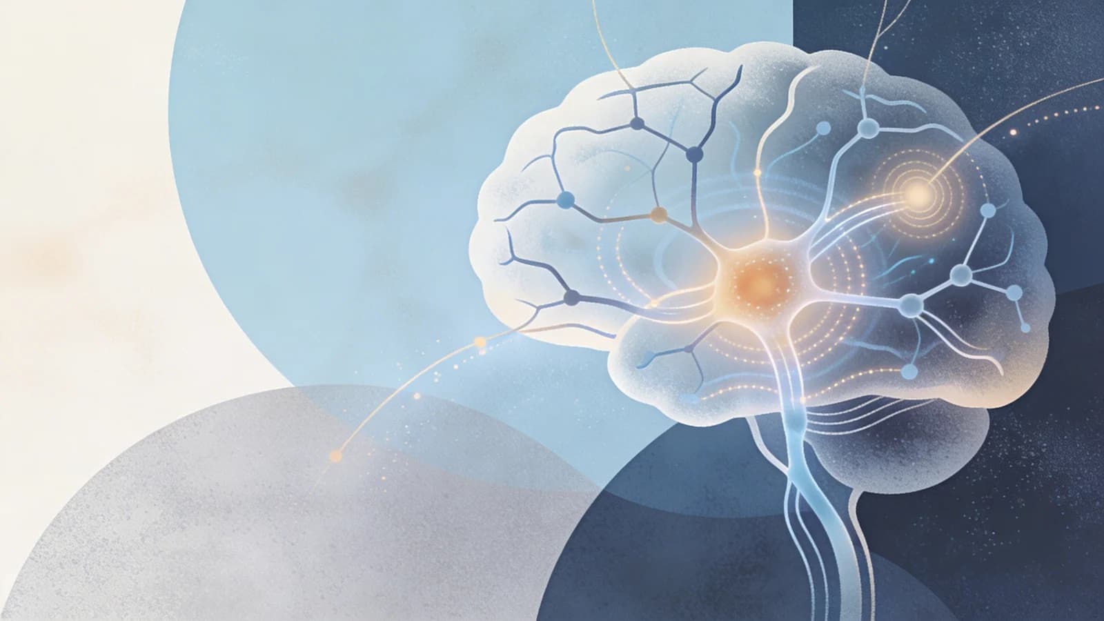 Abstract visualization of neural pathways and pain processing networks in the brain