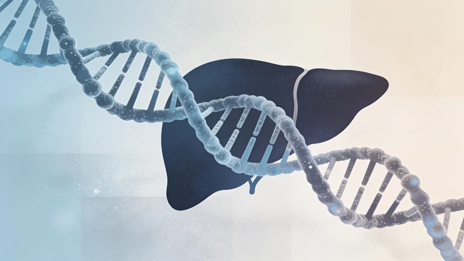Abstract illustration of liver and DNA helix representing genetic research on addiction